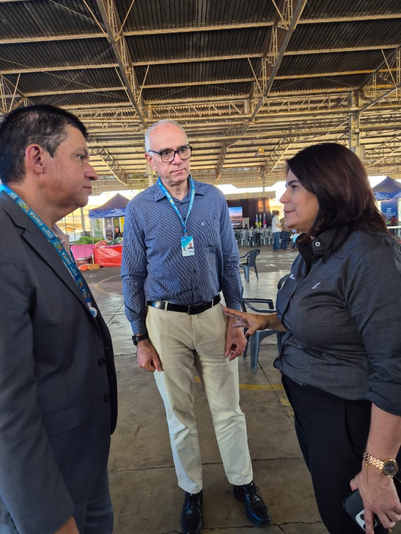 Palmeiras de Goiás - GO (55).jpg