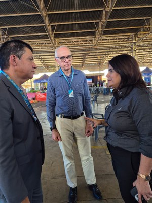 Palmeiras de Goiás - GO (55).jpg