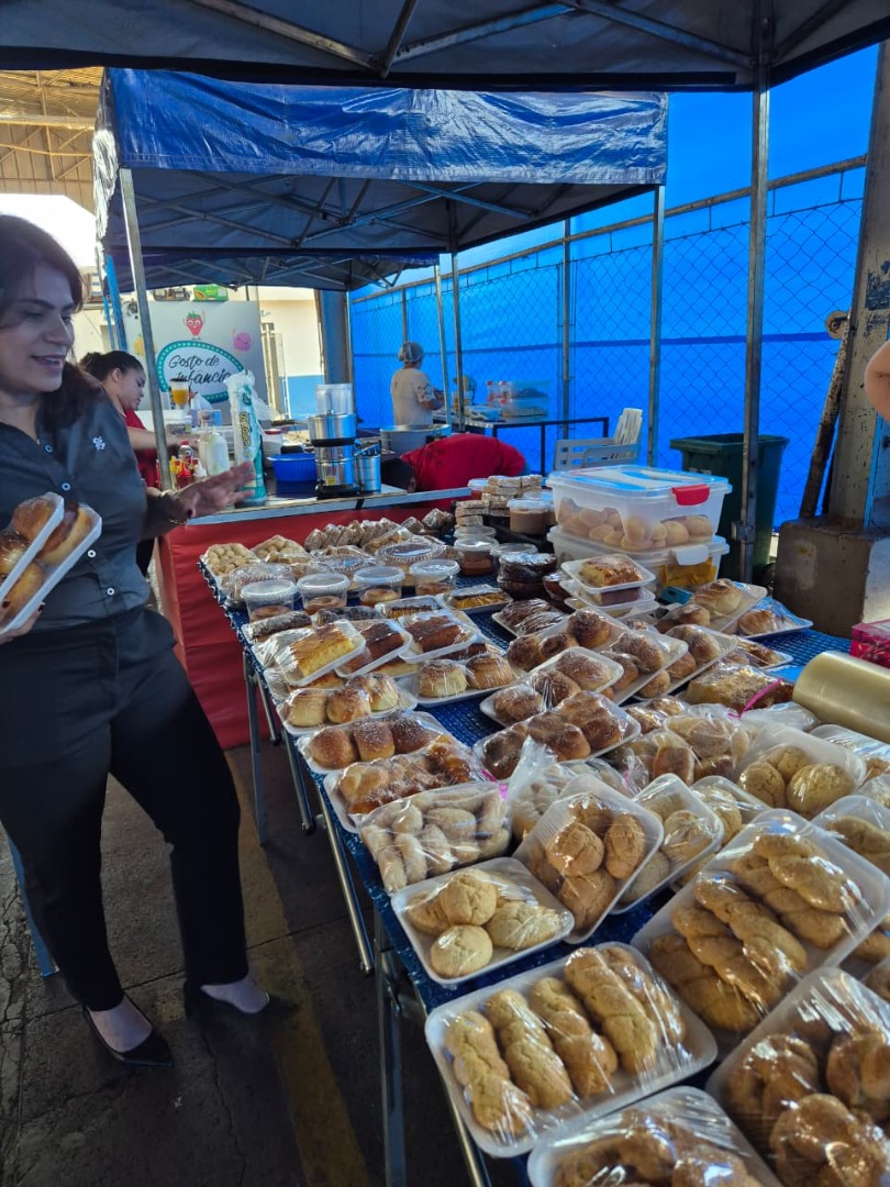 Palmeiras de Goiás - GO (57).jpg