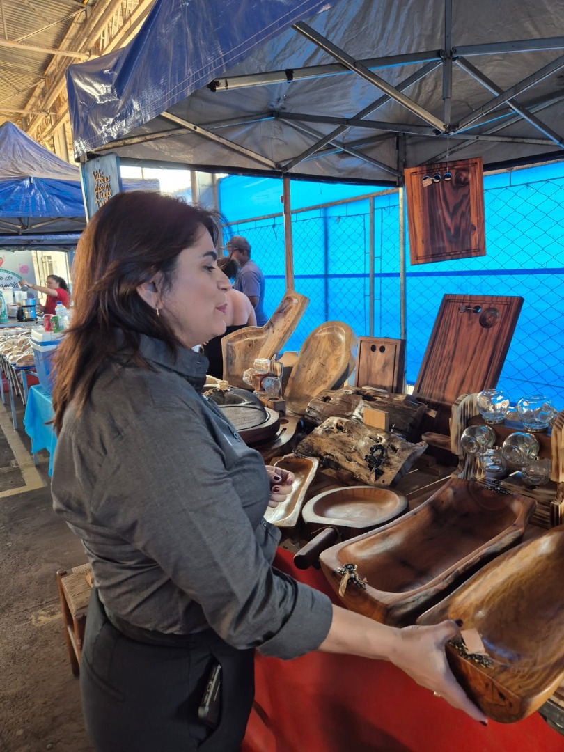 Palmeiras de Goiás - GO (66).jpg