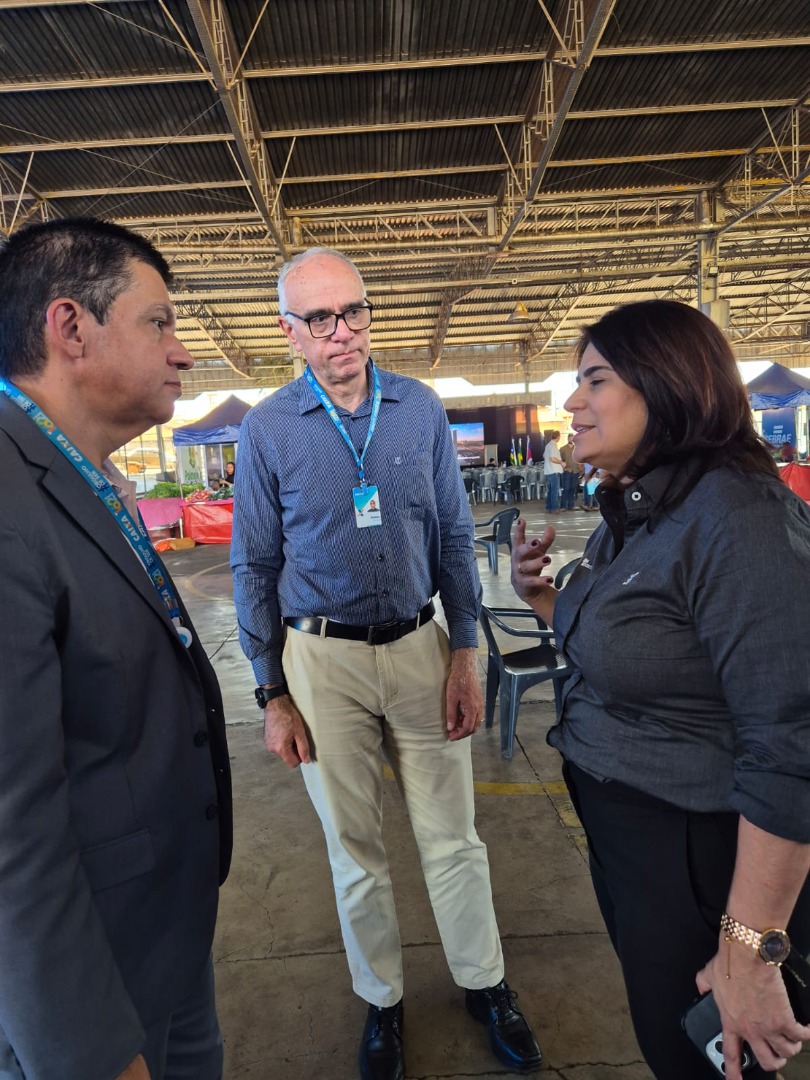 Palmeiras de Goiás - GO (67).jpg