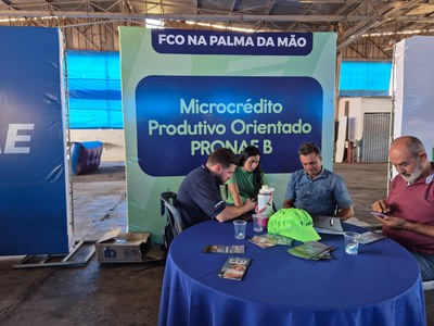 Palmeiras de Goiás - GO (68).jpg