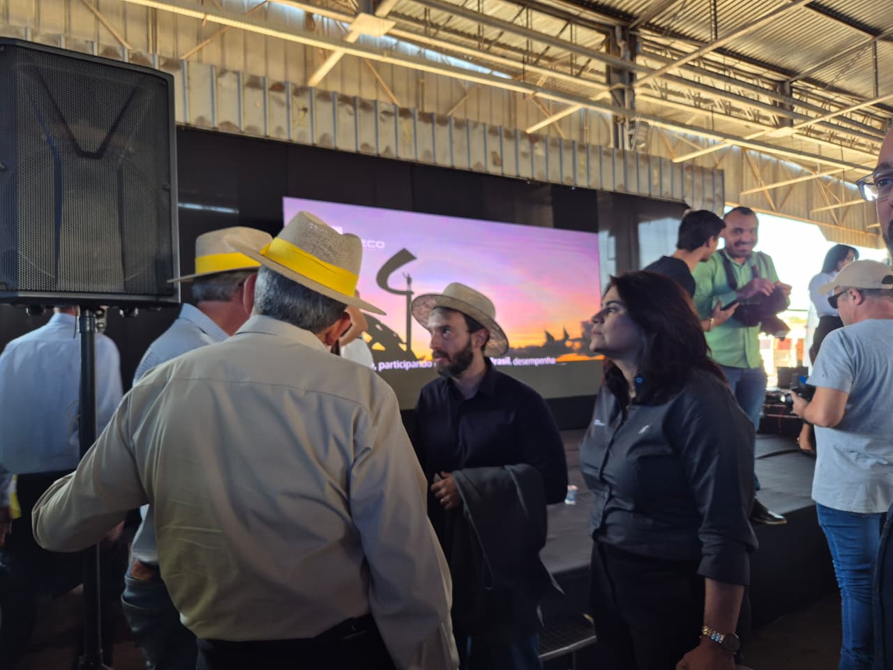 Palmeiras de Goiás - GO (73).jpg