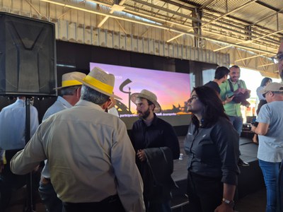 Palmeiras de Goiás - GO (73).jpg