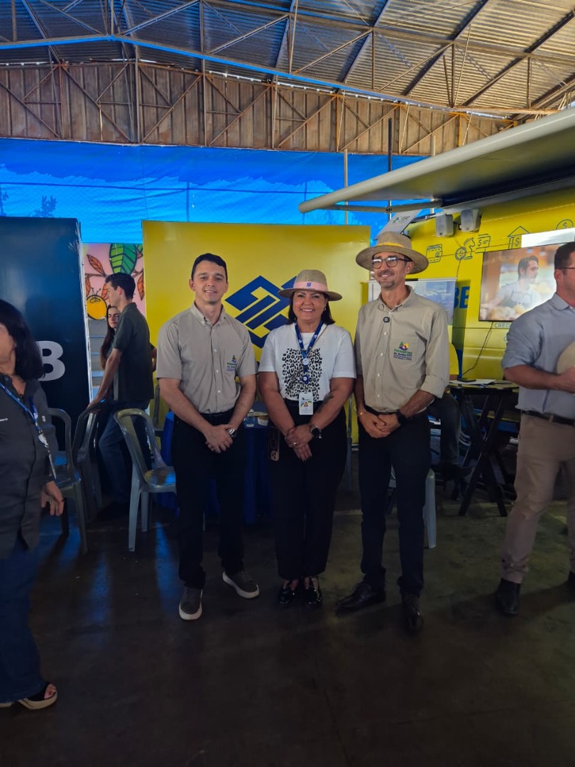 Palmeiras de Goiás - GO (78).jpg