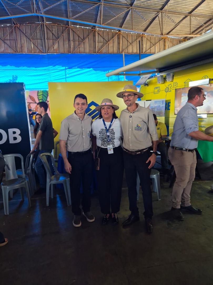 Palmeiras de Goiás - GO (81).jpg