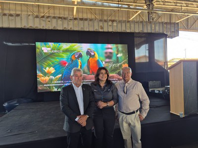 Palmeiras de Goiás - GO (82).jpg