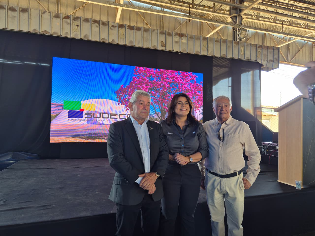 Palmeiras de Goiás - GO (84).jpg