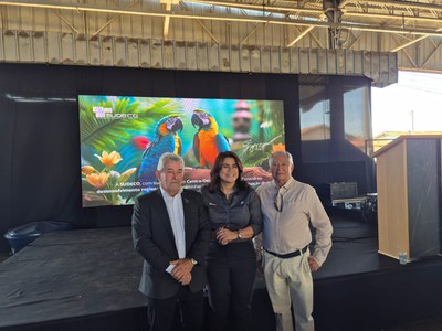 Palmeiras de Goiás - GO (85).jpg