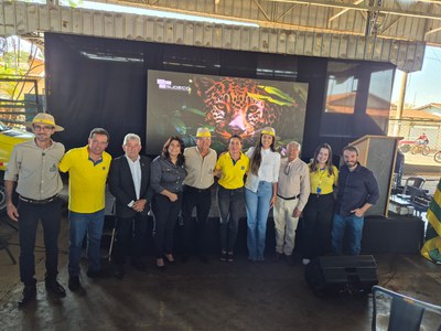 Palmeiras de Goiás - GO (86).jpg