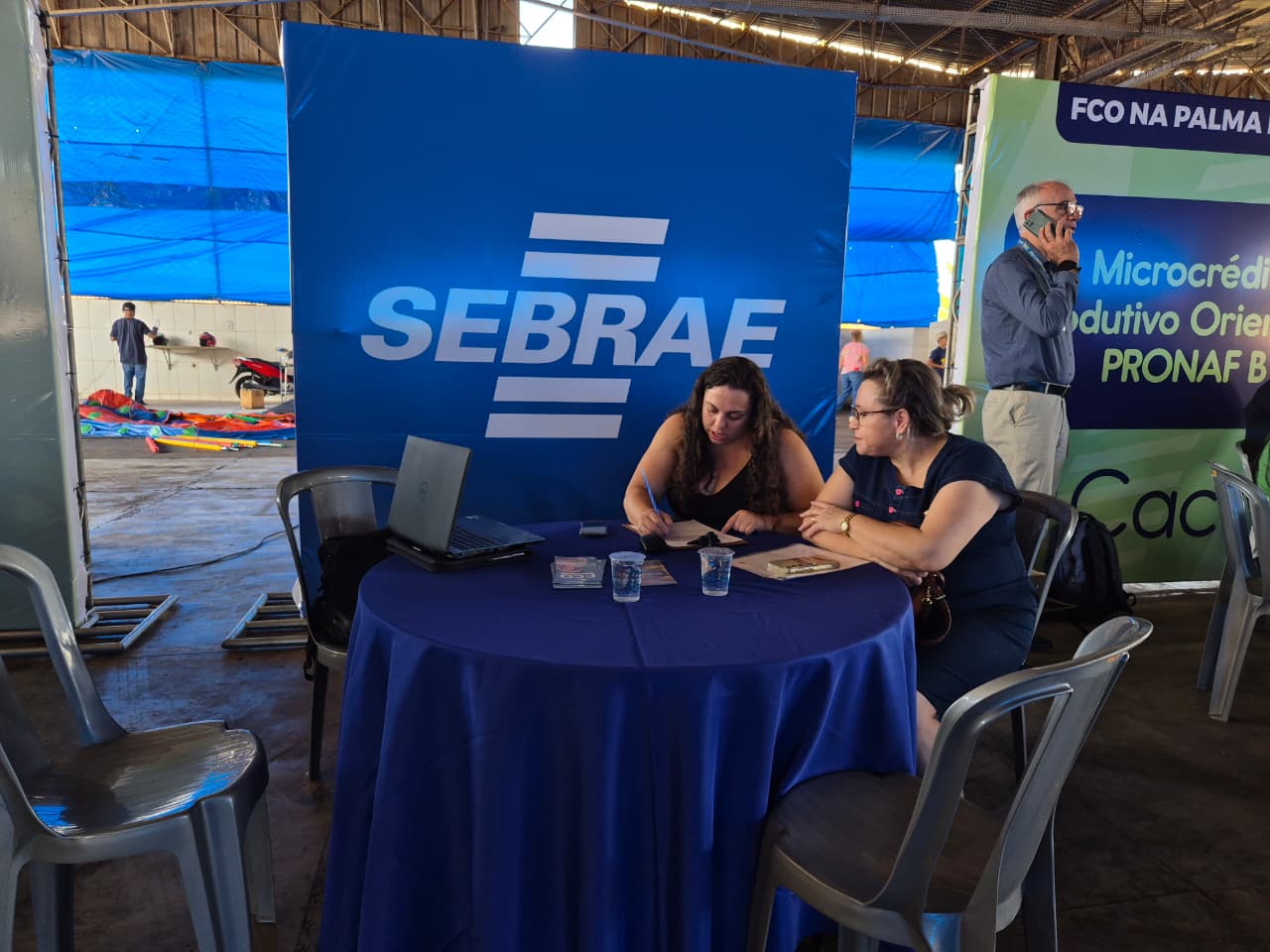 Palmeiras de Goiás - GO (88).jpg