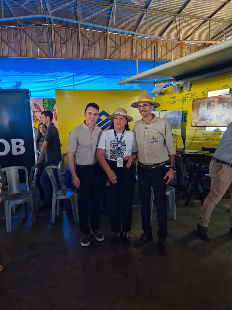 Palmeiras de Goiás - GO (92).jpg