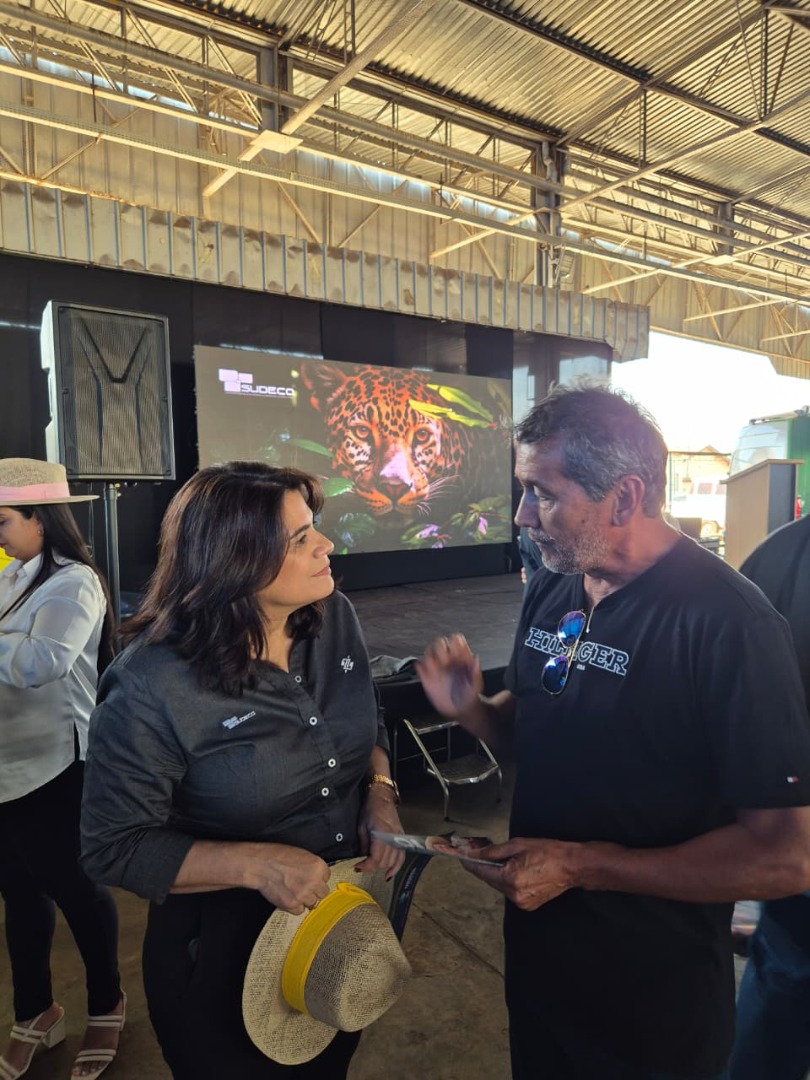 Palmeiras de Goiás - GO (94).jpg