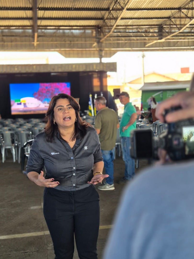 Palmeiras de Goiás - GO (95).jpg