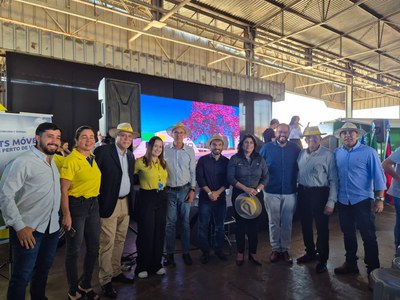 Palmeiras de Goiás - GO (96).jpg