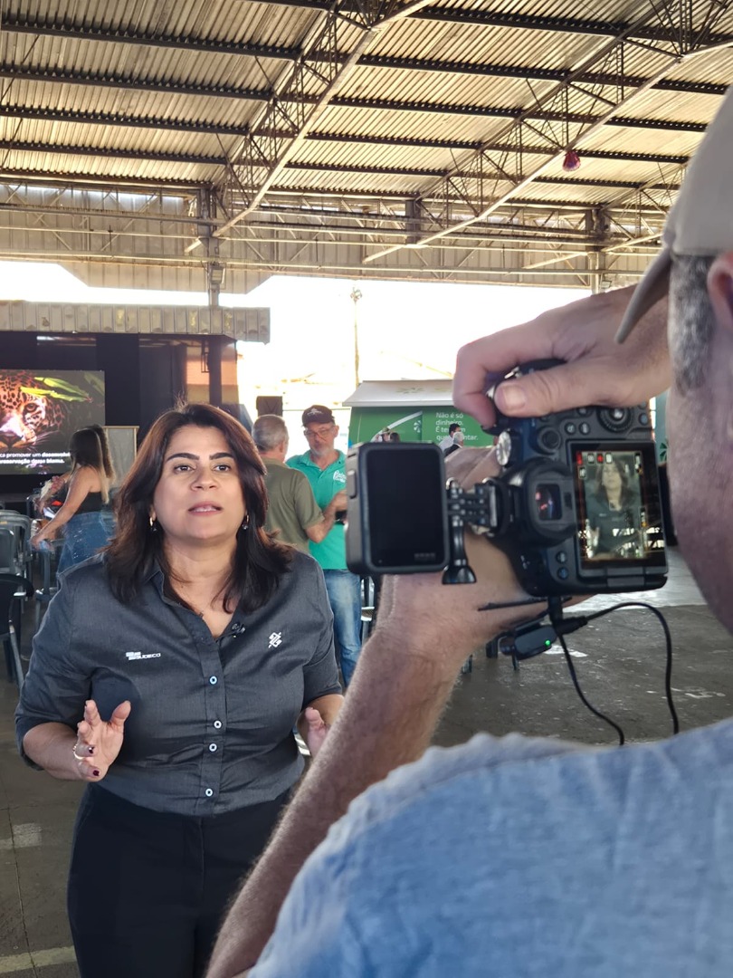 Palmeiras de Goiás - GO (97).jpg