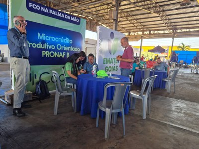 Palmeiras de Goiás - GO (98).jpg