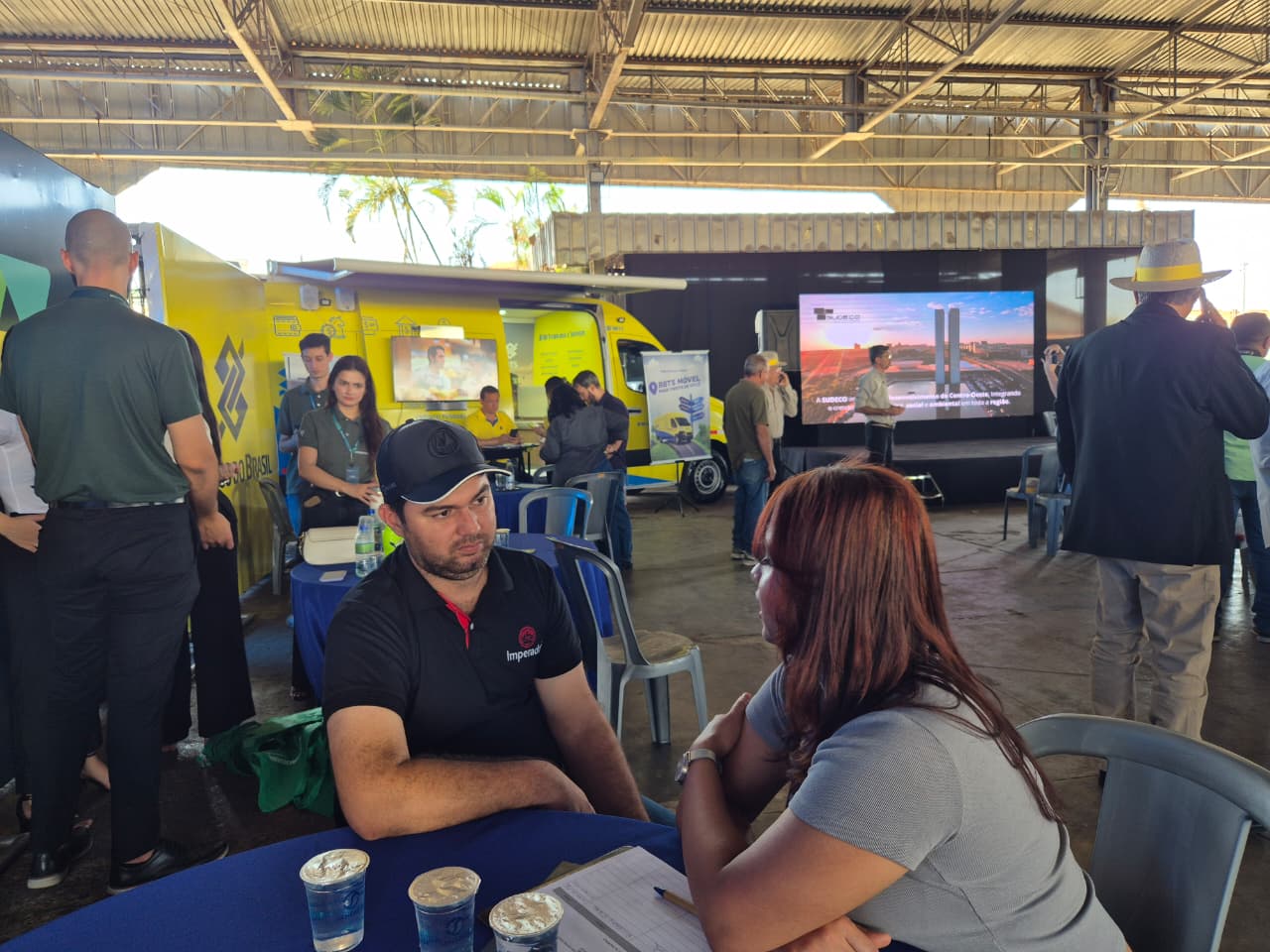 Palmeiras de Goiás - GO (99).jpg