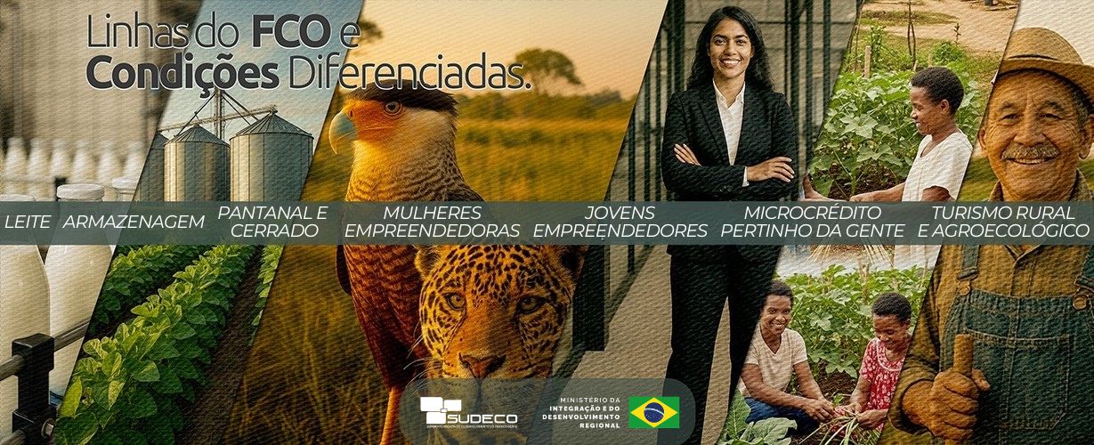 Banner com as principais linhas do FCO