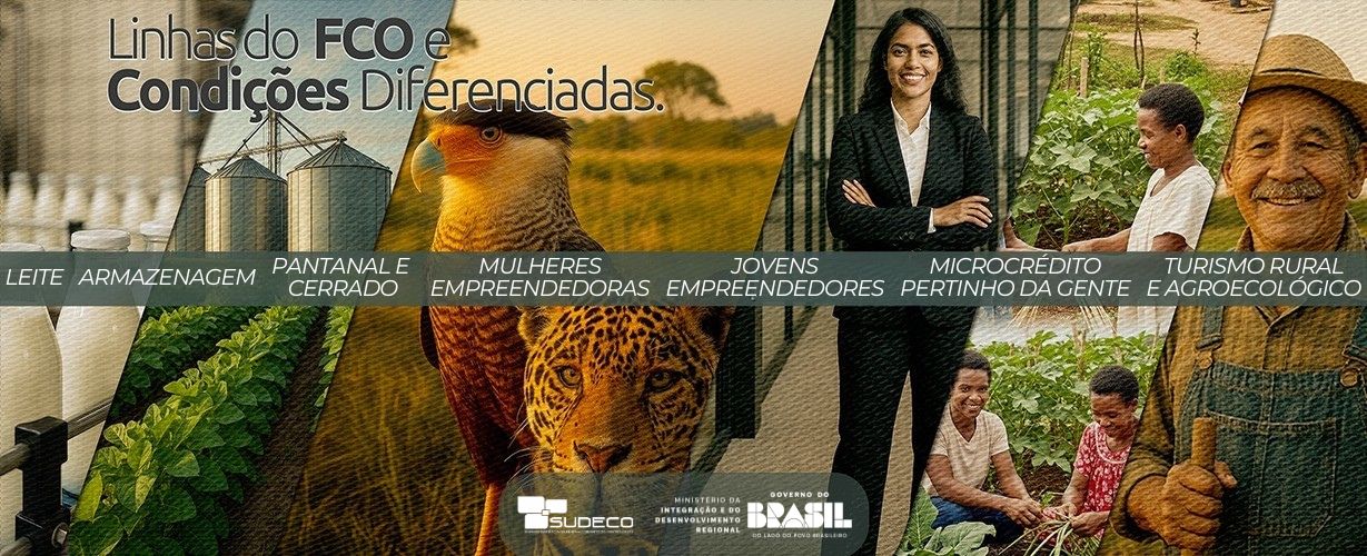 Banner com as principais linhas do FCO