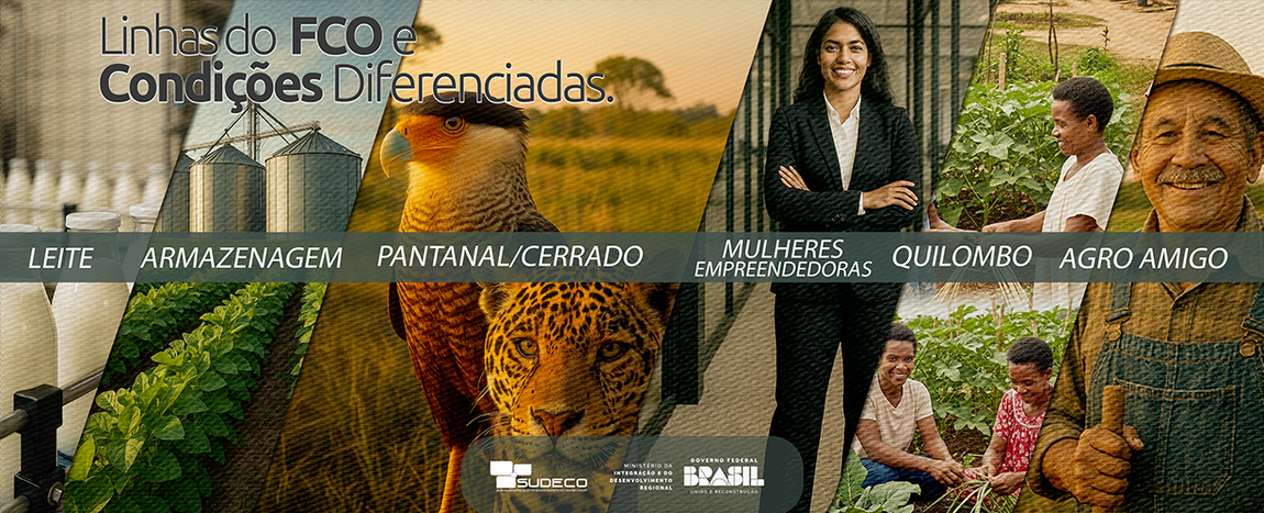 banner → linhas do FCO