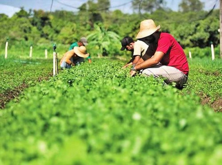 Associação mato-grossense .jpg