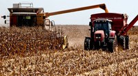 FCO Rural: valores de financiamentos destinados ao agronegócio aumentam 17,9% este ano