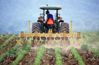 FCO: setor agropecuário tem vencimentos suspensos até agosto