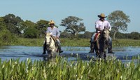 Pantanal terá R$ 180,5 milhões para recuperação econômica