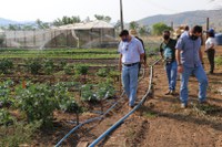Projeto de horta e pomar de Campos Belos (GO) recebe visita técnica da Sudeco