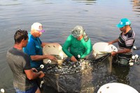 Rosário Oeste (MT) recebe R$ 400 mil para piscicultura