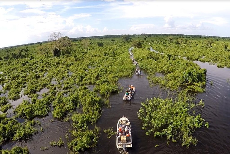Pantanal Mato Grosso.jpg