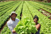 Sudeco viabiliza recurso para beneficiar produtores rurais de Inocência (MS)