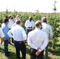 Goiás apresenta projeto de inovação da Cadeia da Fruticultura