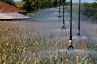 MDR promove 1º Seminário Nacional de Agricultura Irrigada