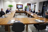 Sudeco e senadores discutem medidas de apoio a empresas pelo FCO
