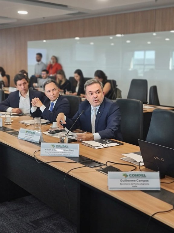 WhatsApp Image 2024-09-11 at 14.46.46.jpeg