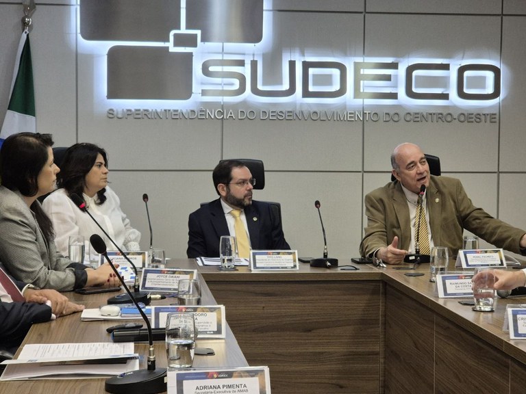 31ª Reunião Ordinária do COARIDE 