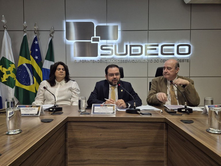 31ª Reunião Ordinária do COARIDE 