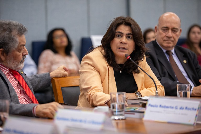  Agendas Transversais Territoriais do Plano Plurianual (PPA) 2024-2027