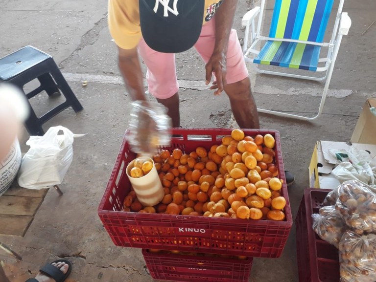 Relatorio execução etapa_18.jpg