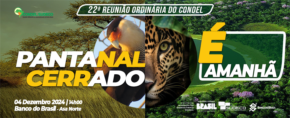 03 - FCO DEZEMBRO 2024 - BANNER SITE 1150X467 É AMANHÃ.png