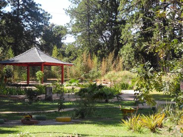 Jardim Botânico-DF