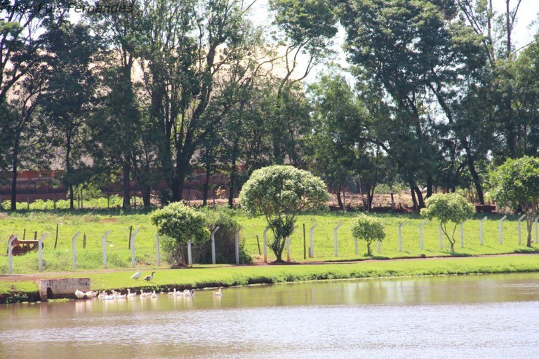 Fátima do Sul – MS