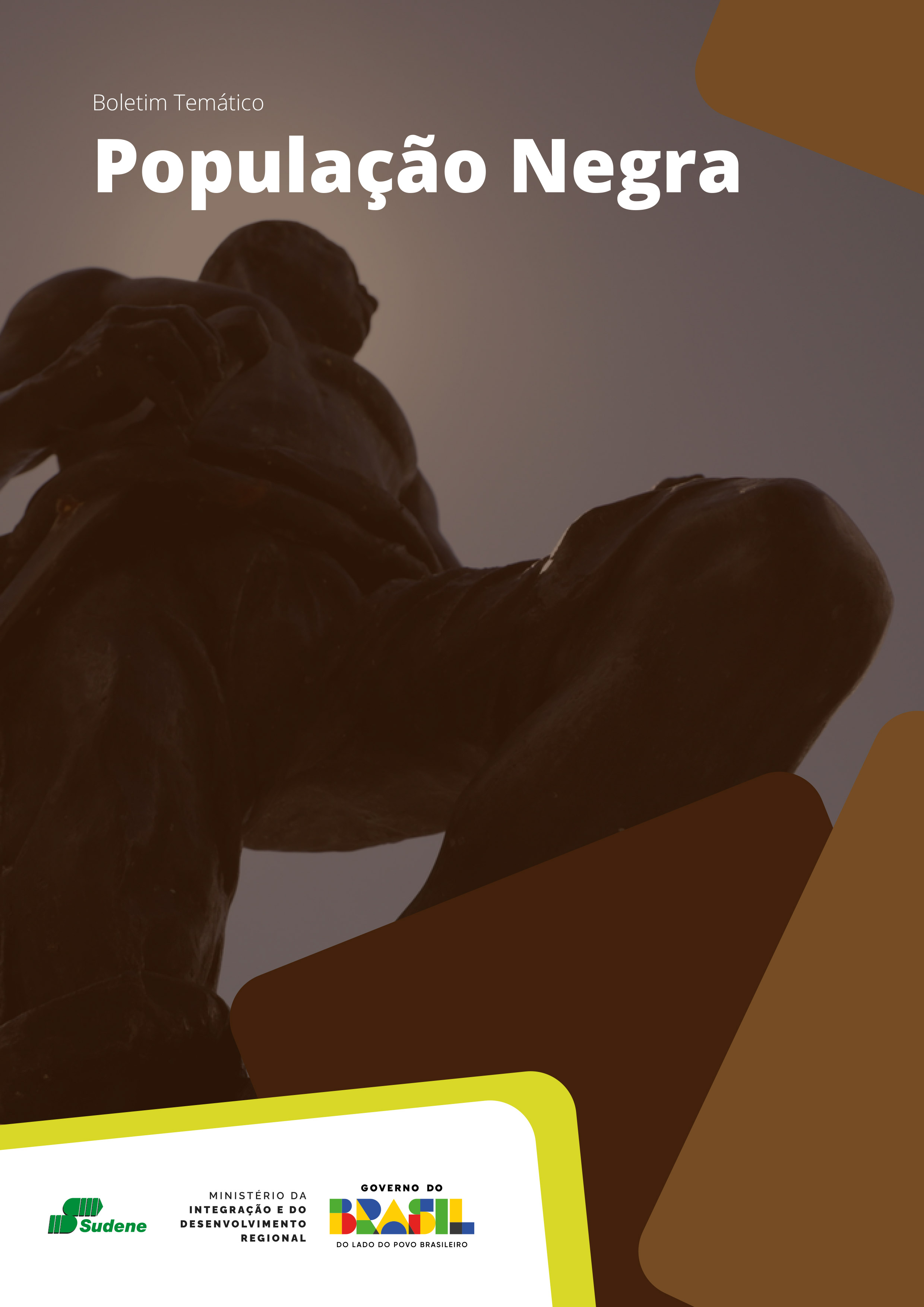 População negra
