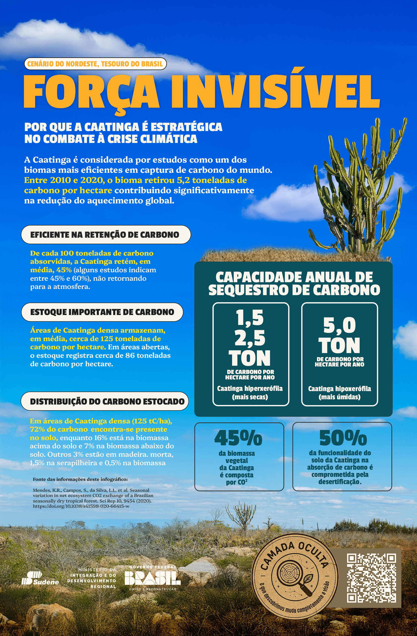 Infográfico: captura de carbono pela Caatinga