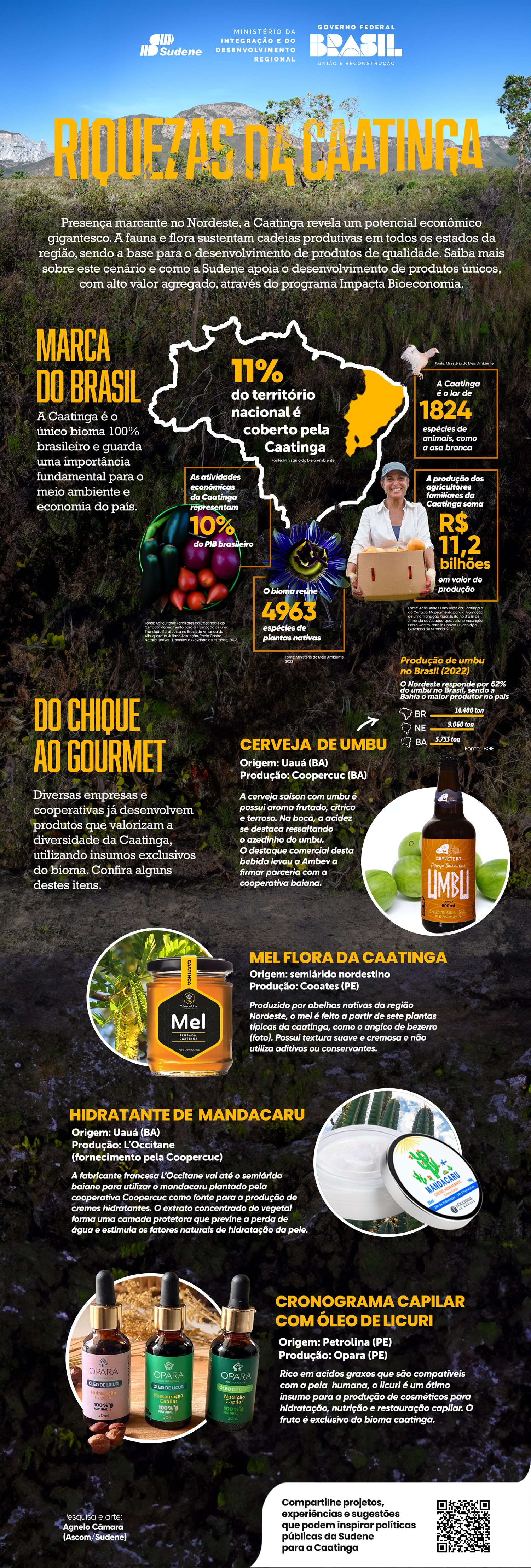Infográfico: riquezas da Caatinga