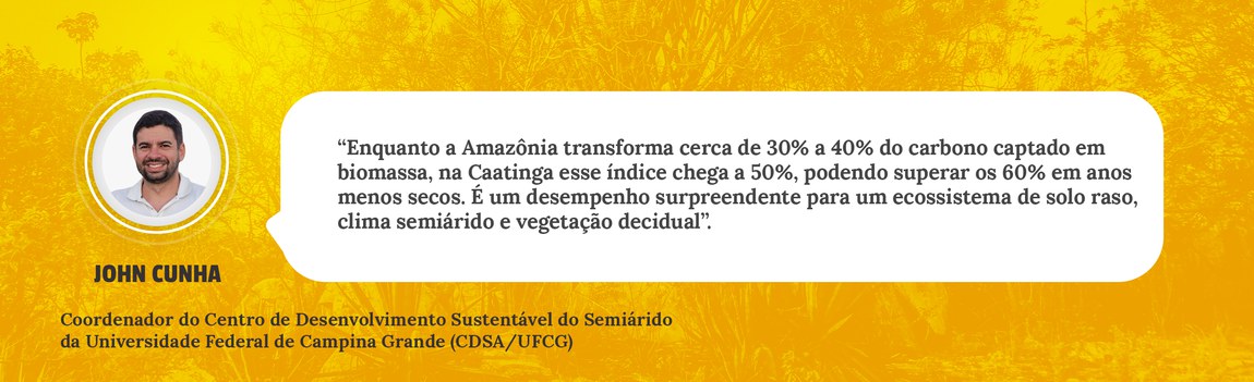 Pesquisador destaca eficiência da Caatinga no combate ao aquecimento global