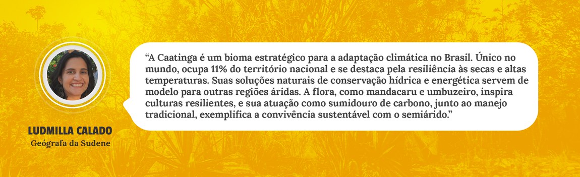Geógrafa salienta as soluções naturais de conservação hídrica da Caatinga