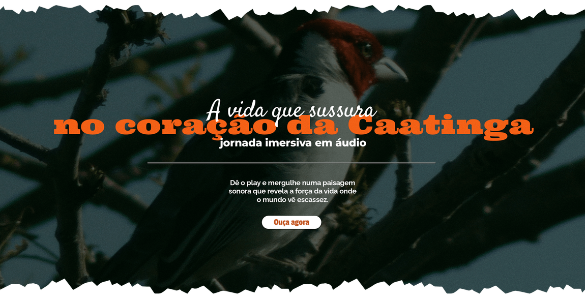 Imagem com o título "🌵 A Vida que Sussurra no Calor da Caatinga"